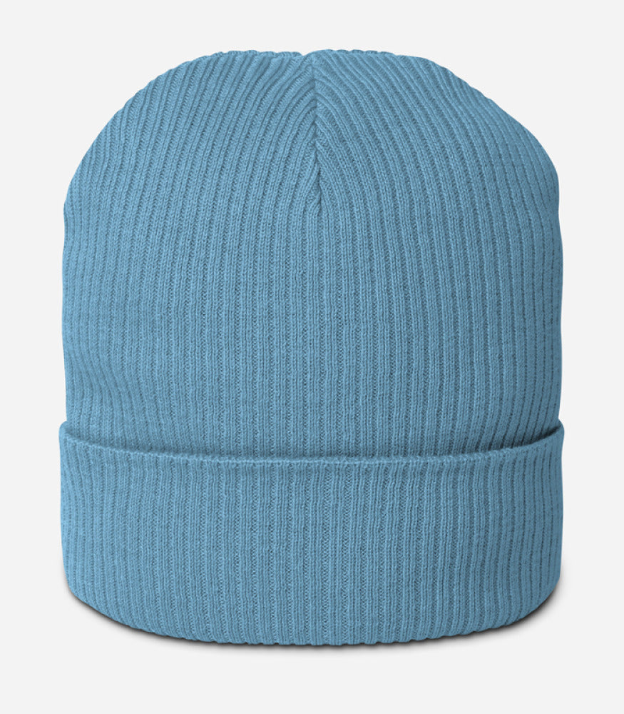 Organic Ribbed Beanie | Atlantis