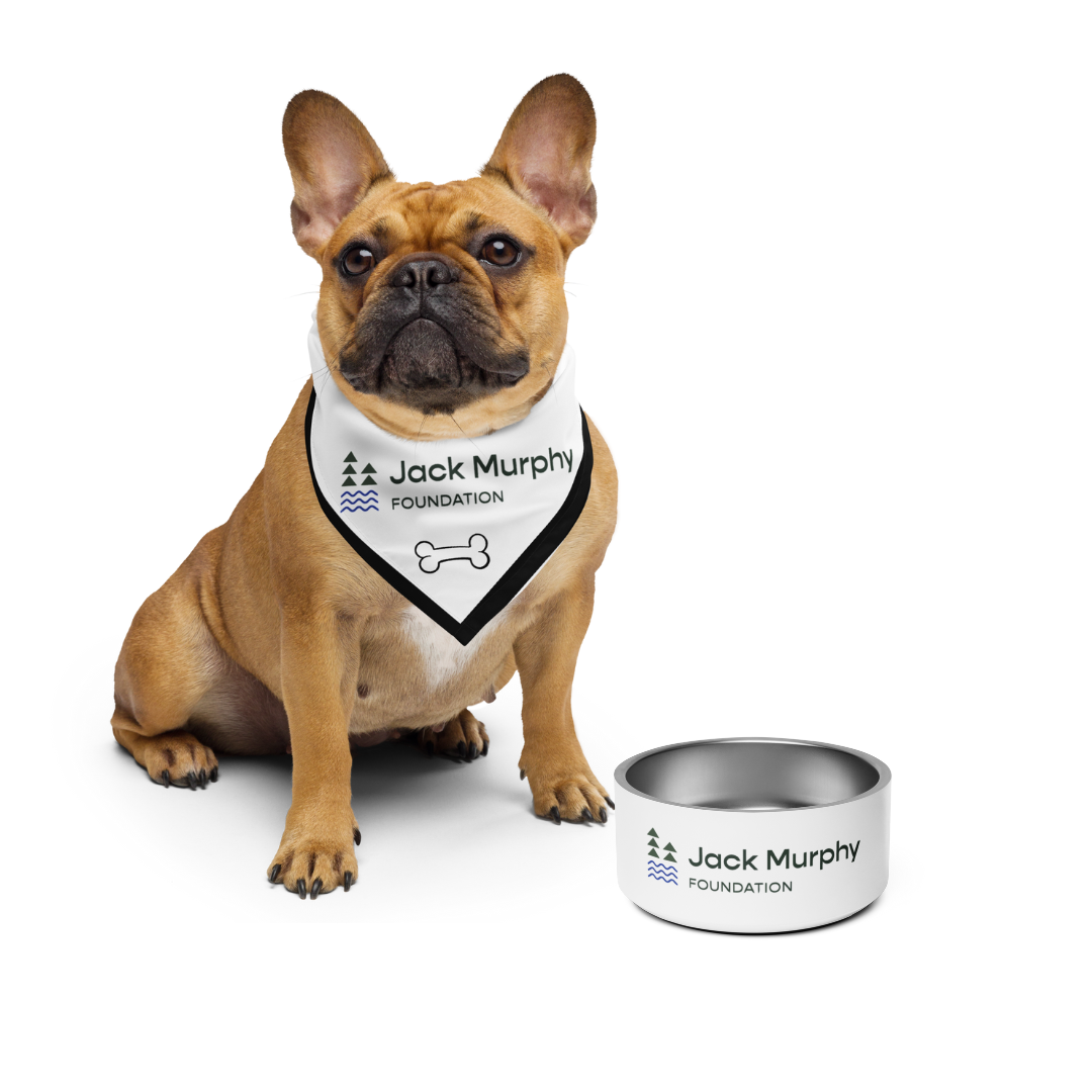 Cool Dog Bundle