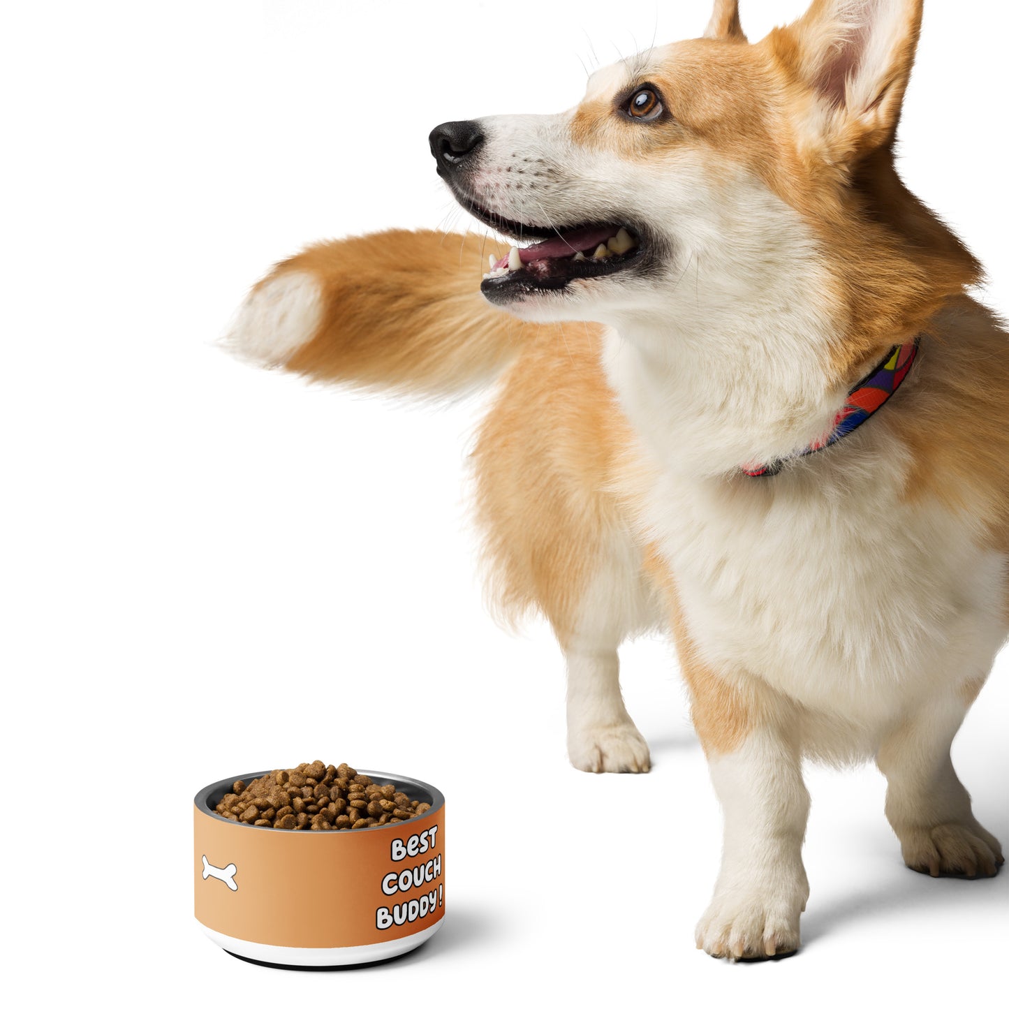 Pet Bowl