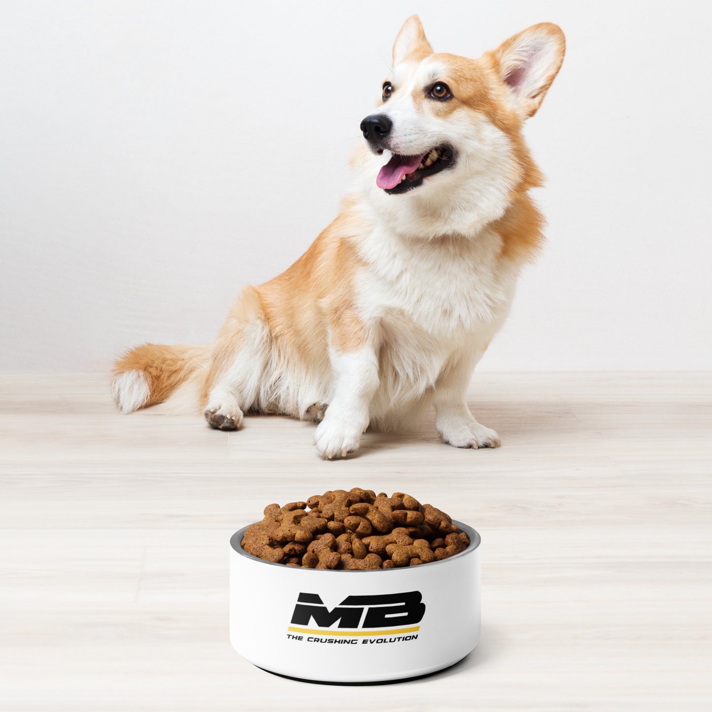 Pet Bowl