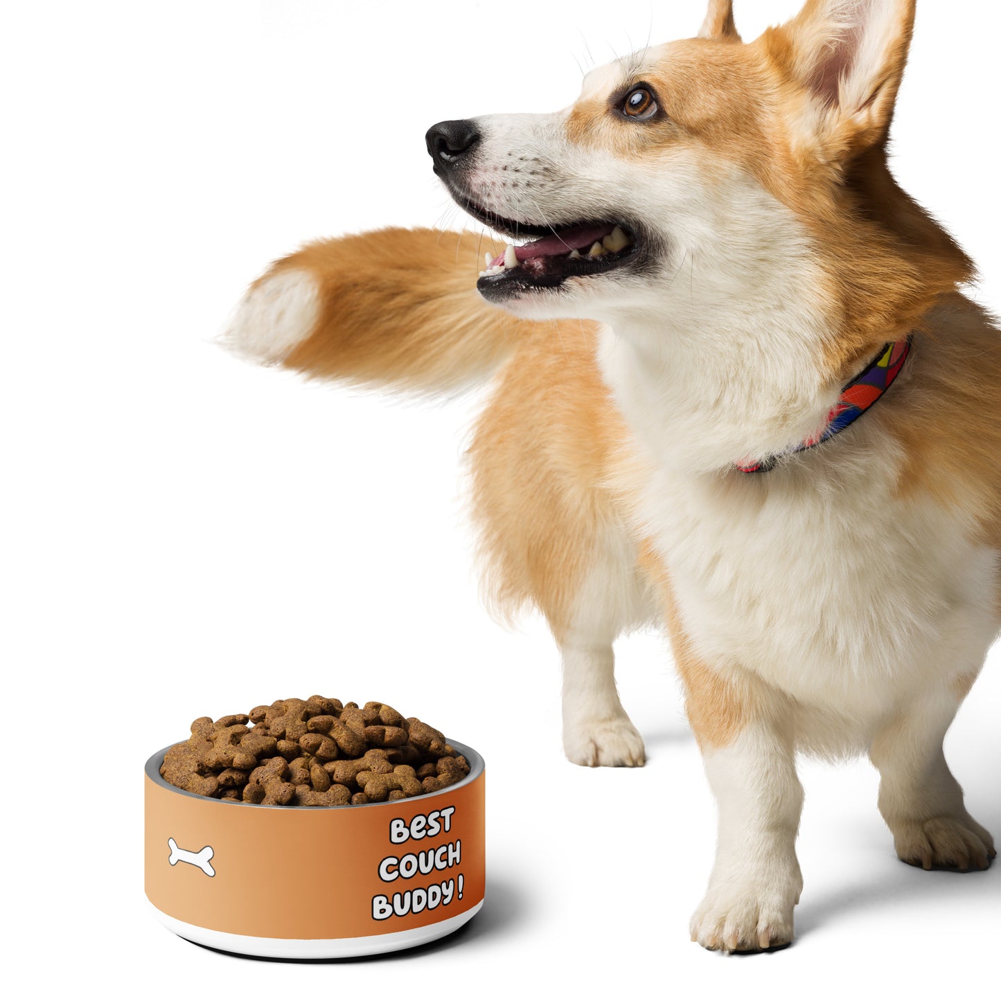 Pet Bowl