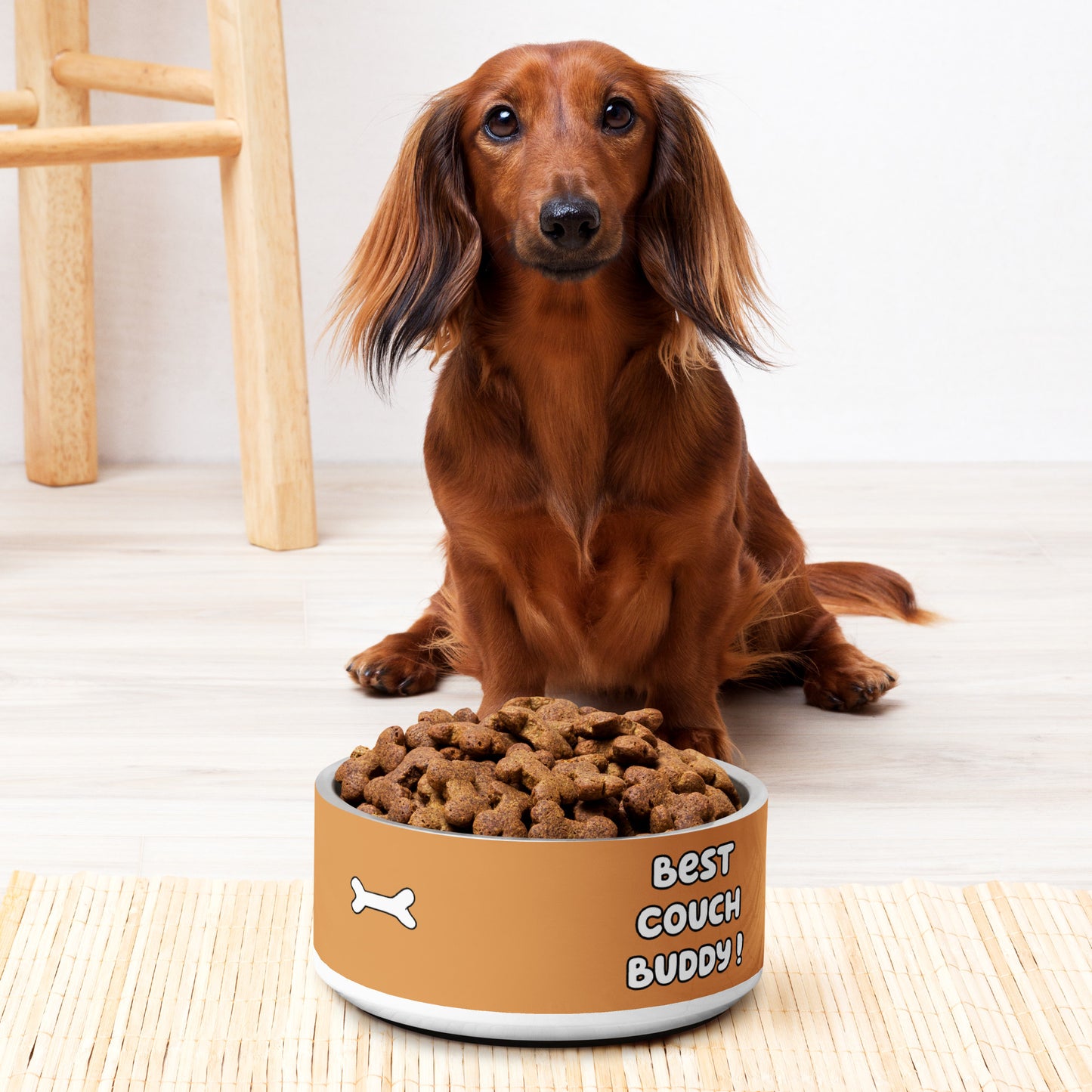 Pet Bowl
