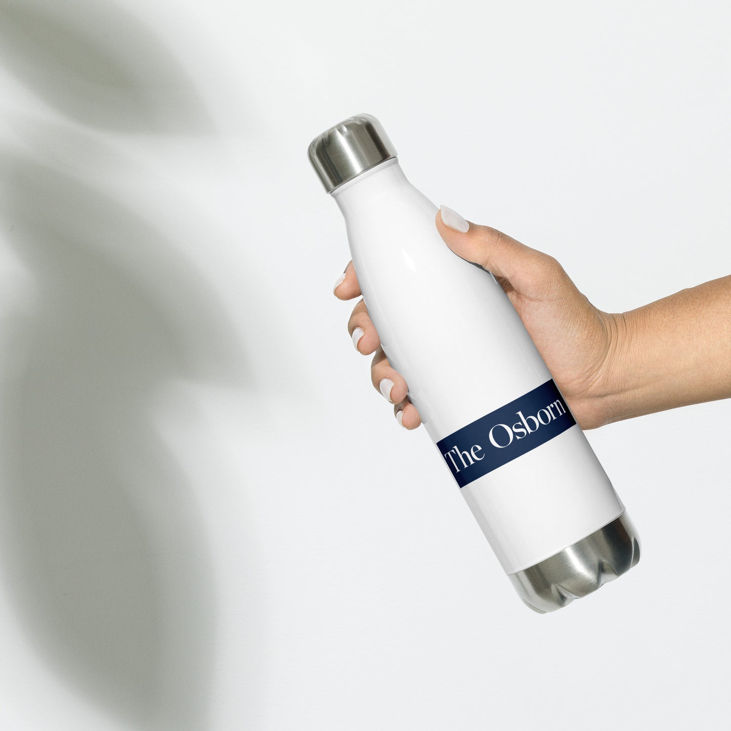 Stainless Steel Water Bottle