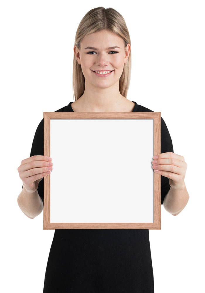 Premium Luster Photo Paper Framed Poster (in)