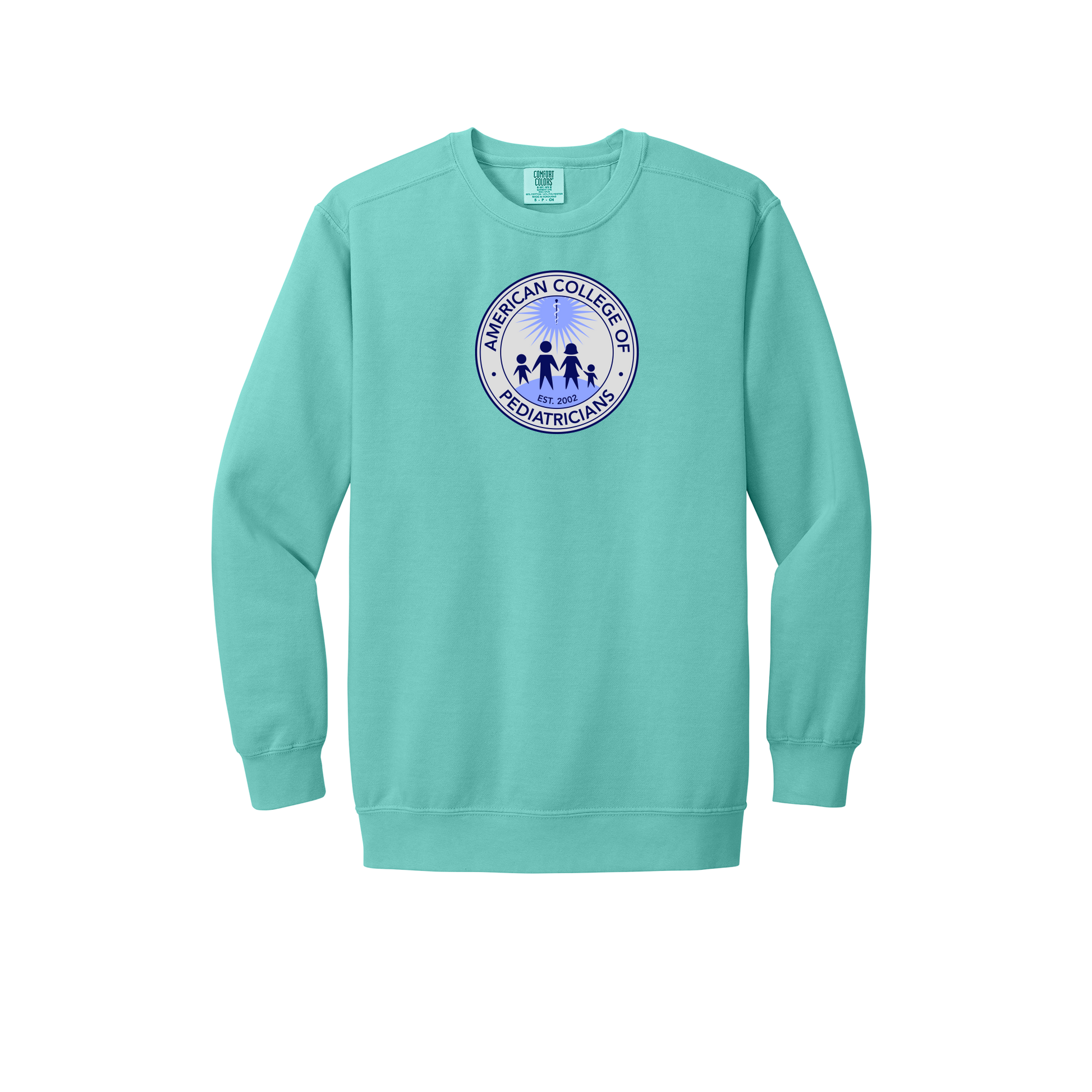 acpeds-premium-clinic-comfort-crewneck-dtf-front-1566-chalkymint-flat-front