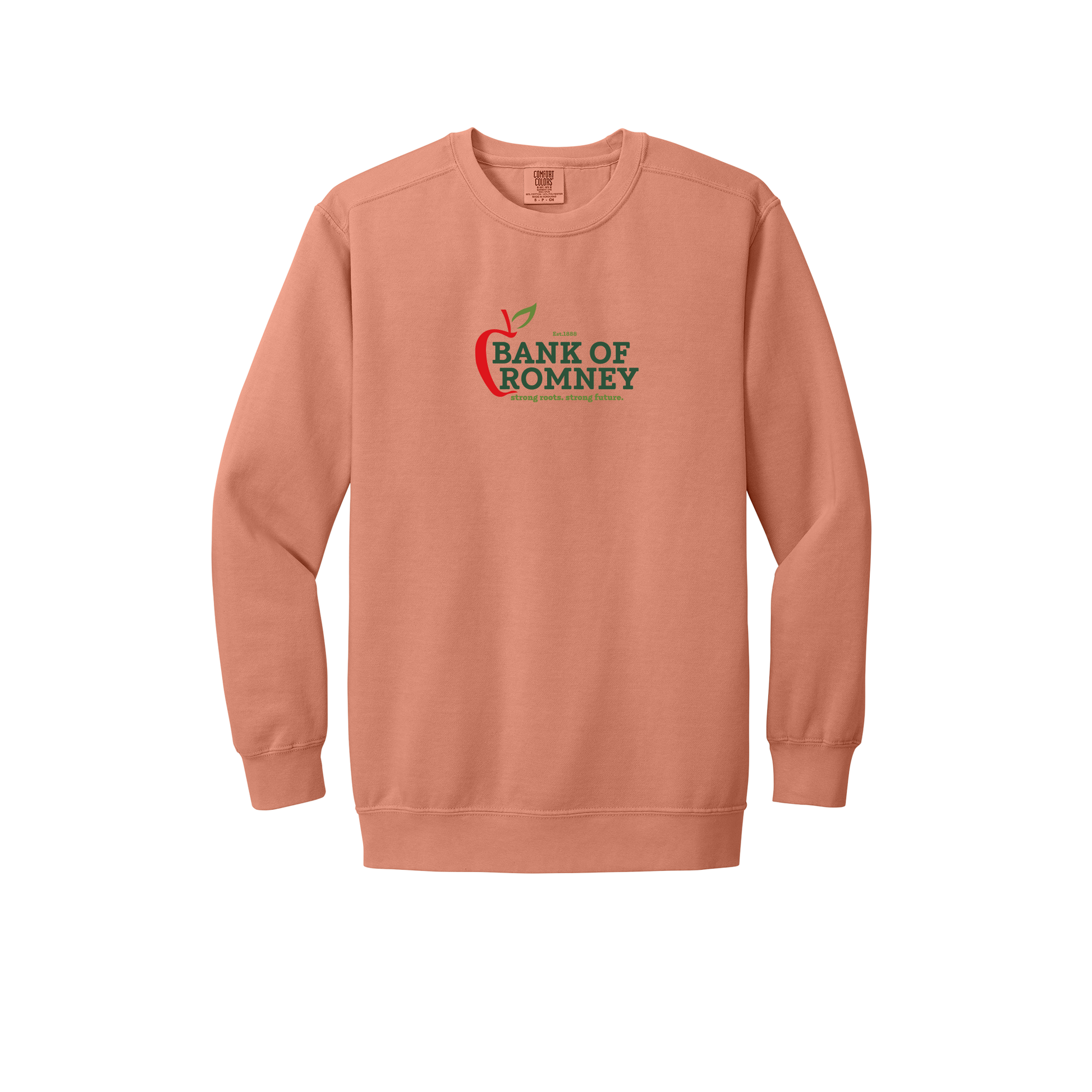 bankofromney-premium-comfort-crewneck-dtf-front-1566-terracotta-flat-front