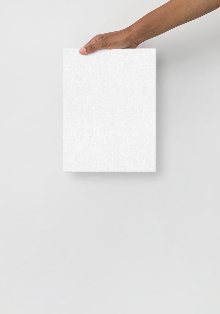 Thin Canvas (in)