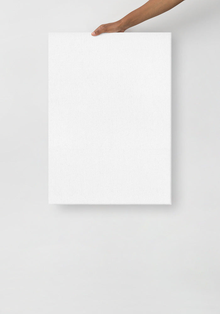 Thin Canvas (in)
