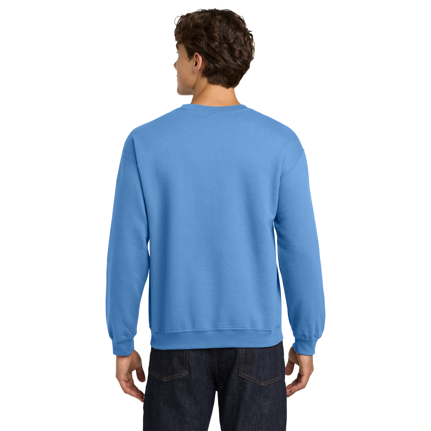 palmetto-pain-center-clinic-comfort-crewneck-secondary-mockup