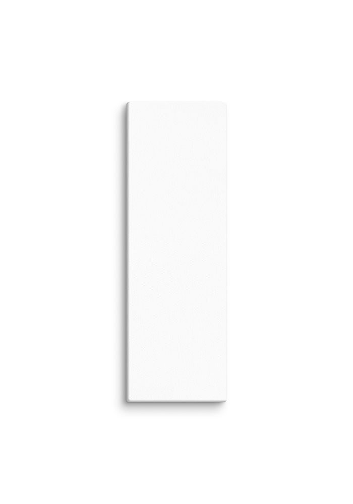 Canvas (in)