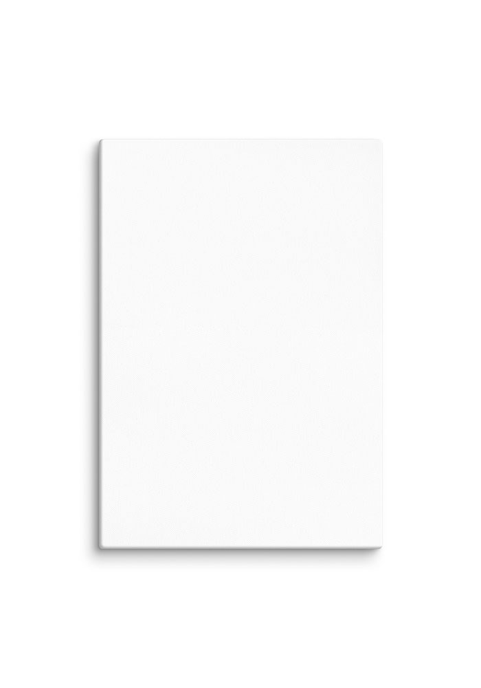 Canvas (in)