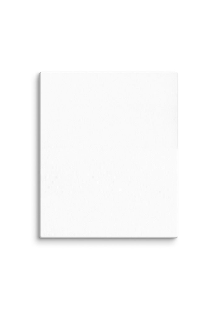 Canvas (in)