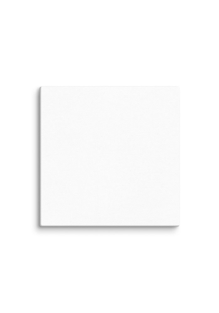 Canvas (in)