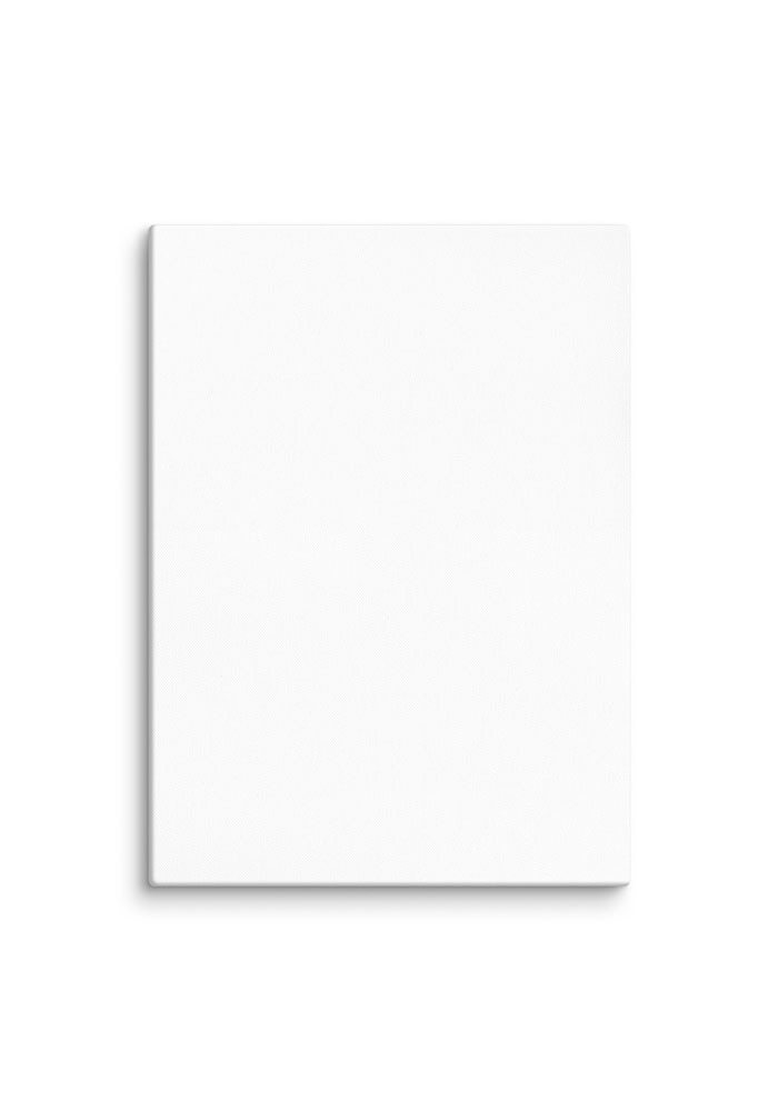 Canvas (in)