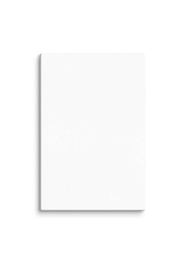 Canvas (in)
