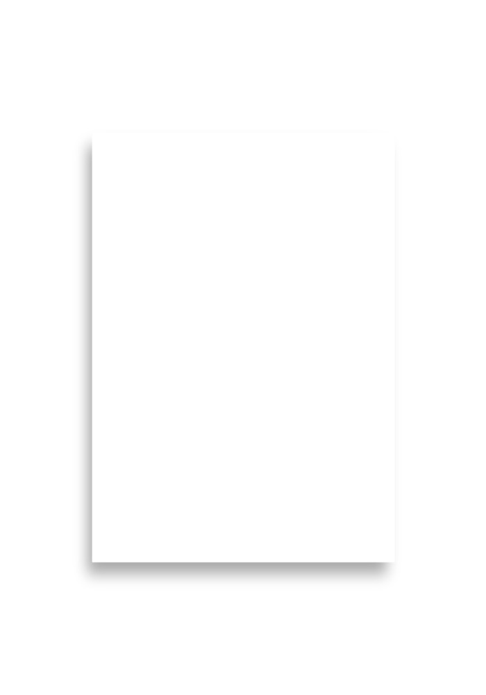 Premium Luster Photo Paper Poster (in)