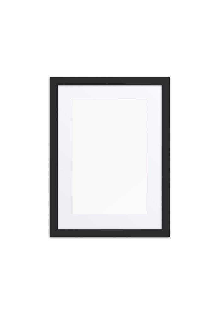 Matte Paper Framed Poster With Mat (in)