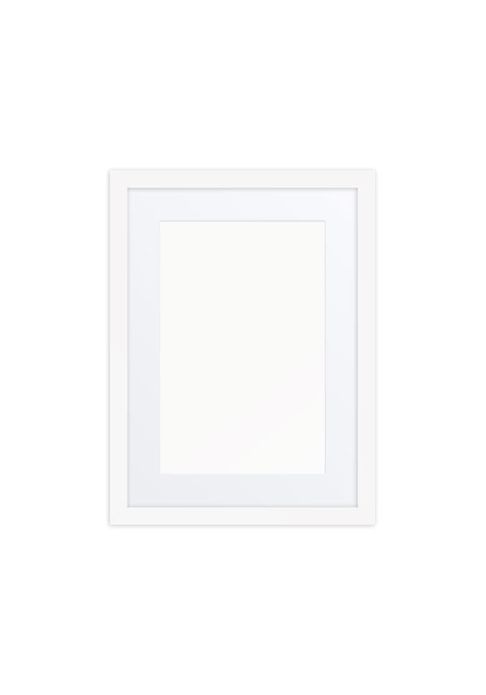 Matte Paper Framed Poster With Mat (in)