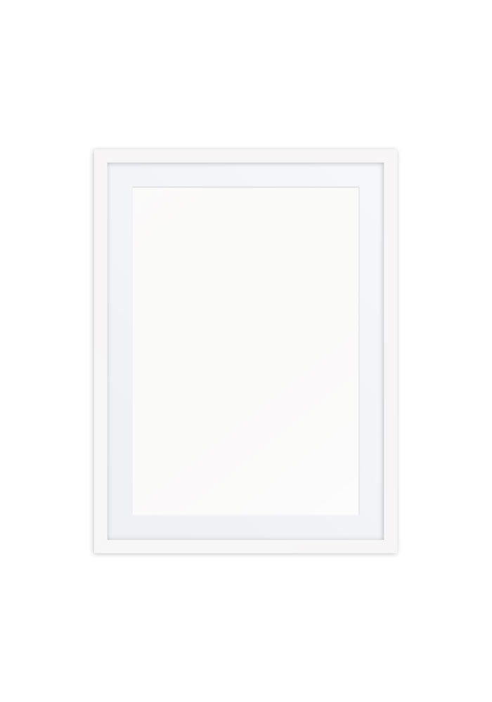Matte Paper Framed Poster With Mat (in)