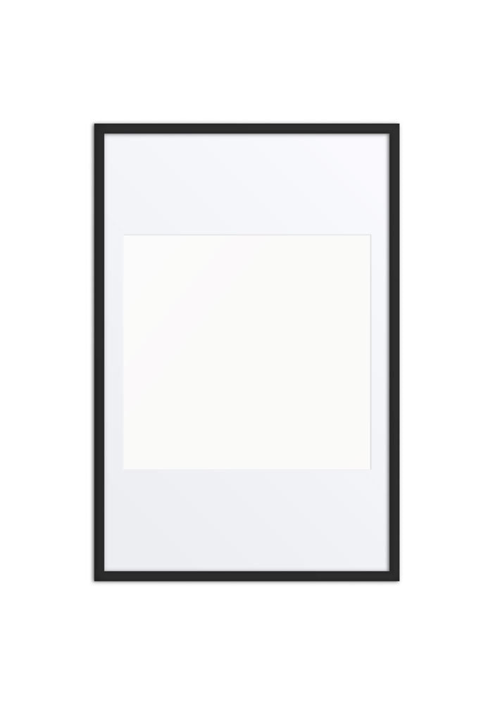 Matte Paper Framed Poster With Mat (in)