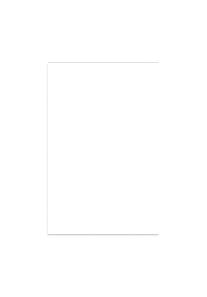 Enhanced Matte Paper Poster (in)