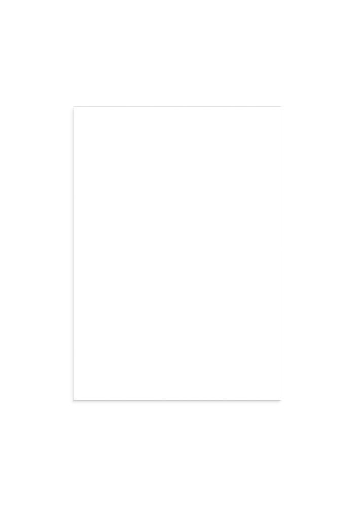 Premium Luster Photo Paper Poster (in)
