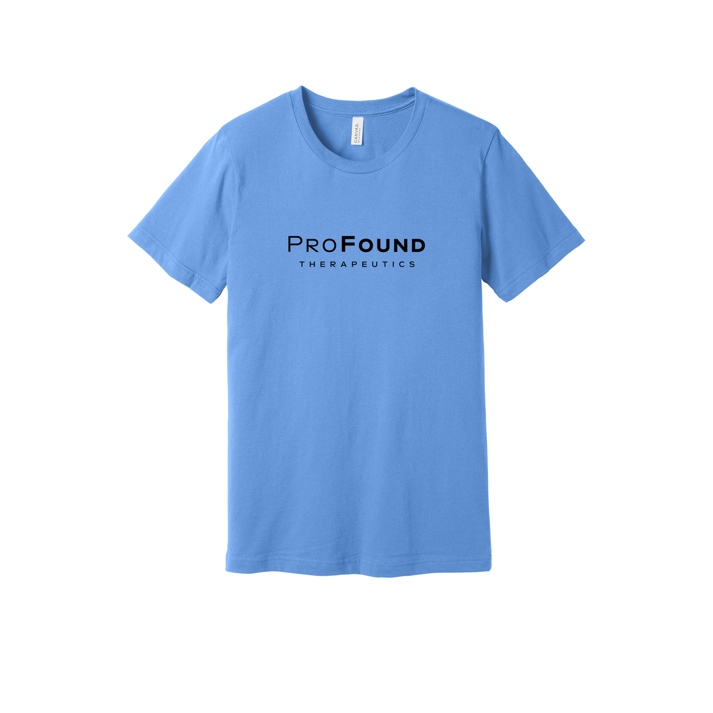 profoundtx-everyday-essentials-short-sleeve-tee-dtf-front-BC3001-carolinablue-flat-front