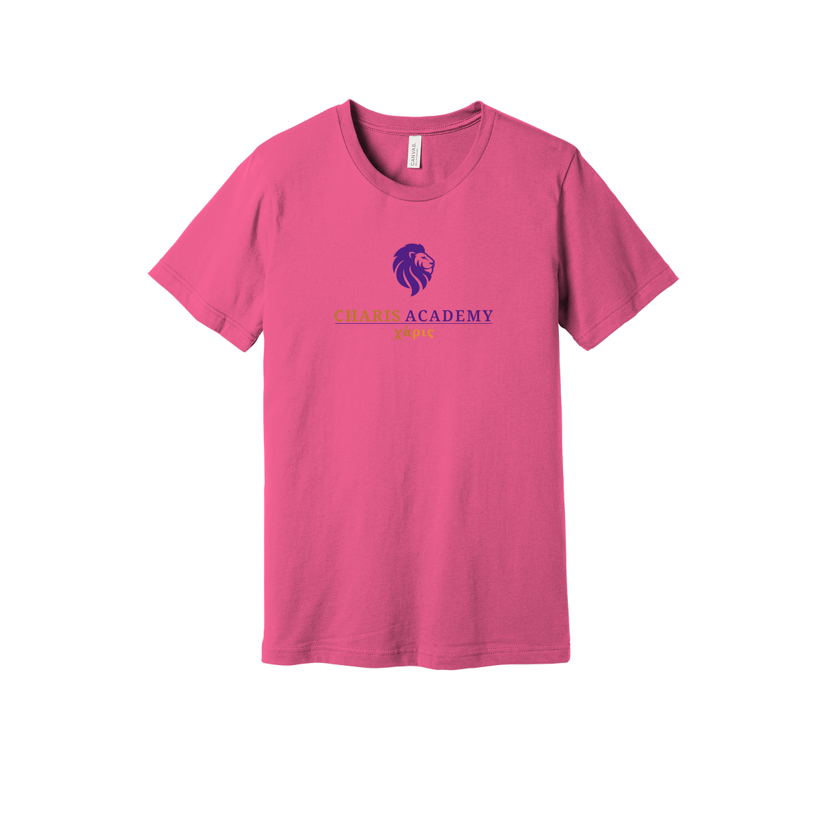 cahazleton-everyday-essentials-short-sleeve-tee-dtf-front-BC3001-charitypink-flat-front