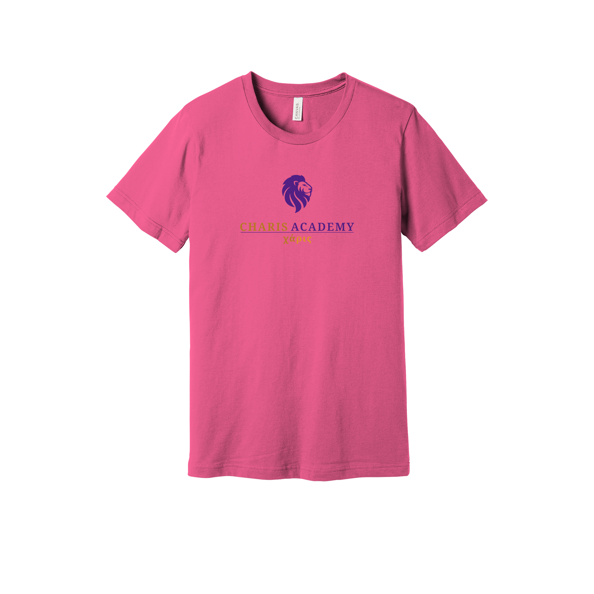 cahazleton-everyday-essentials-short-sleeve-tee-dtf-front-BC3001-charitypink-flat-front