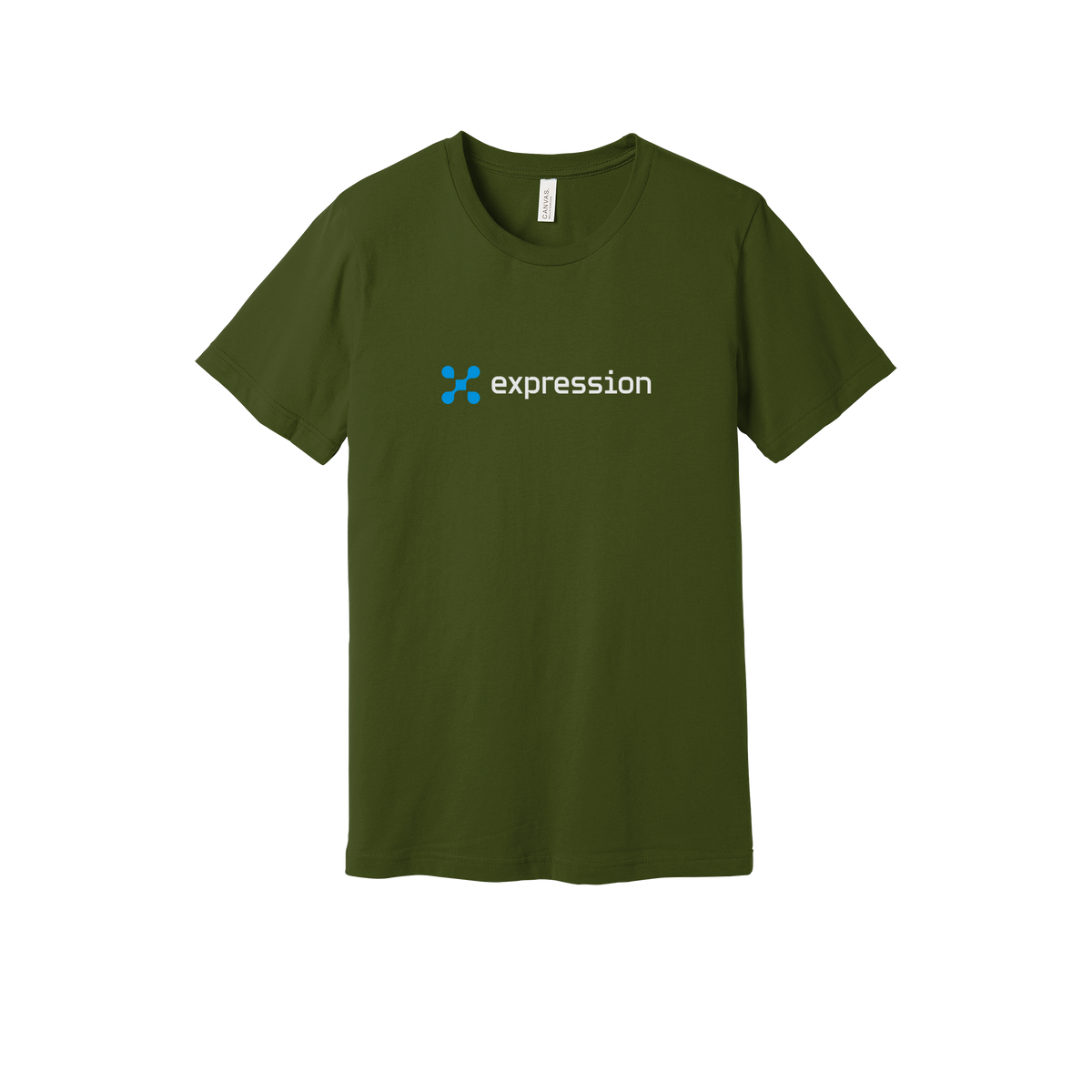 expr-everyday-essentials-short-sleeve-tee-dtf-front-BC3001-olive-flat-front