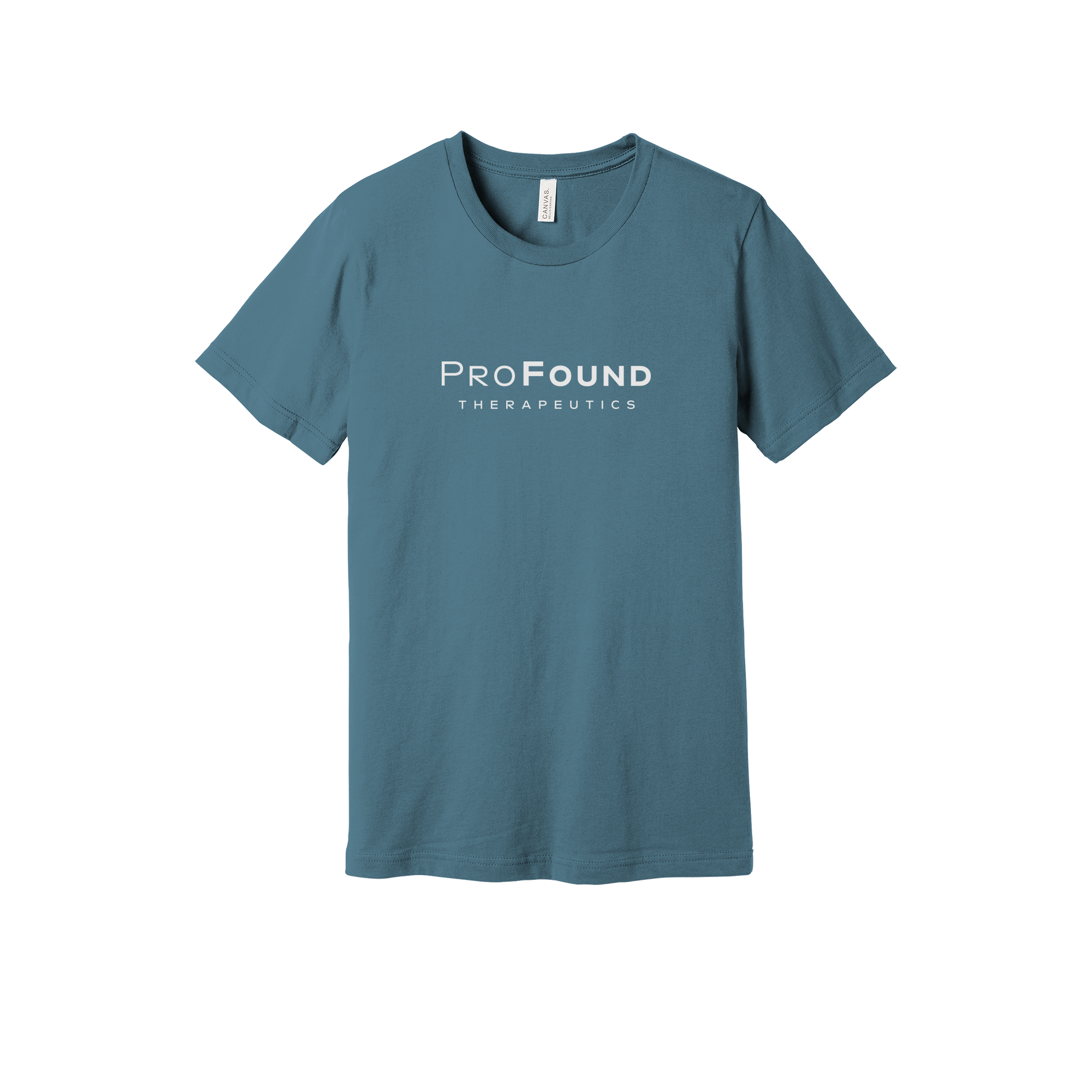 profoundtx-everyday-essentials-short-sleeve-tee-dtf-front-BC3001-steelblue-flat-front