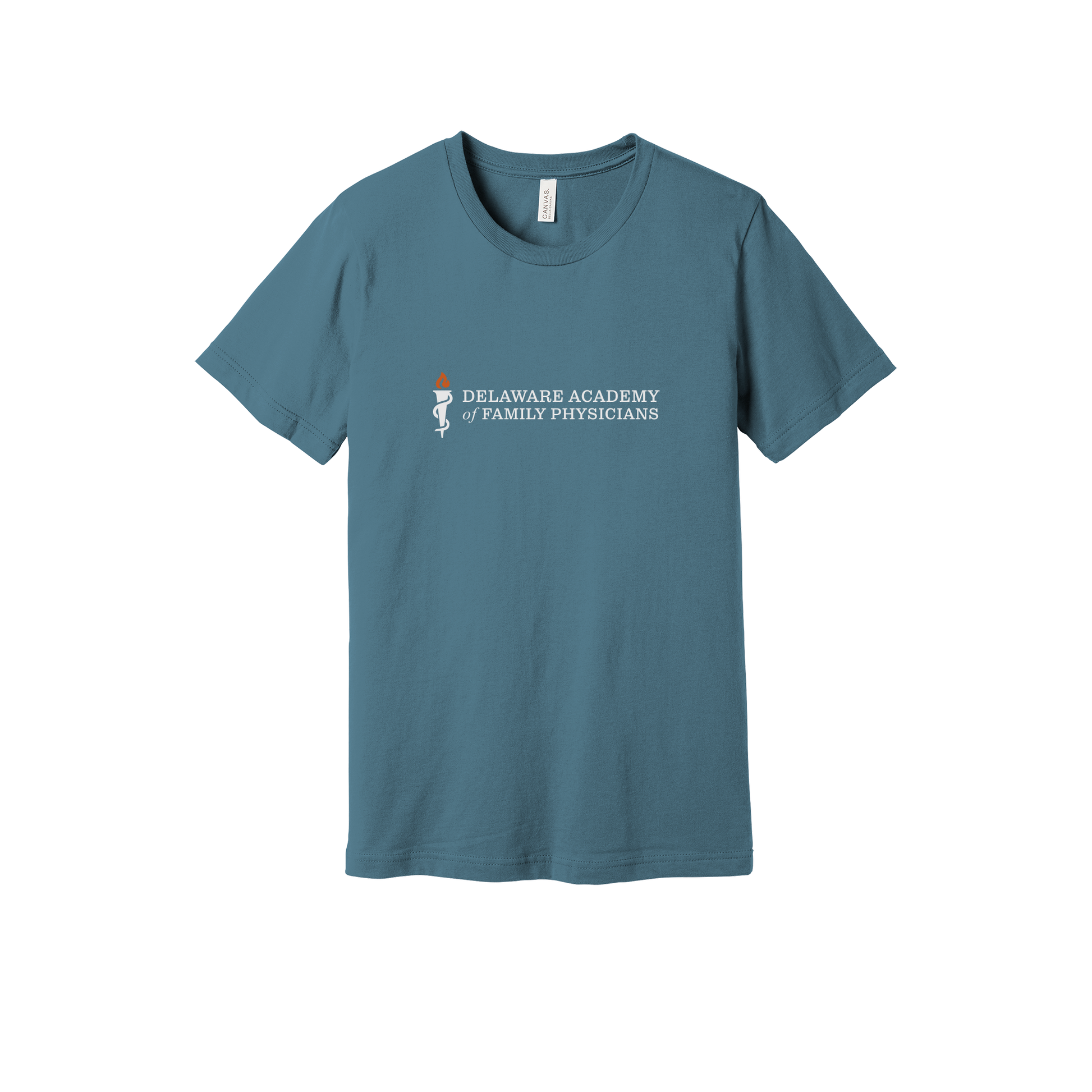 delfamdoc-everyday-essentials-clinic-short-sleeve-tee-dtf-front-BC3001-steelblue-flat-front