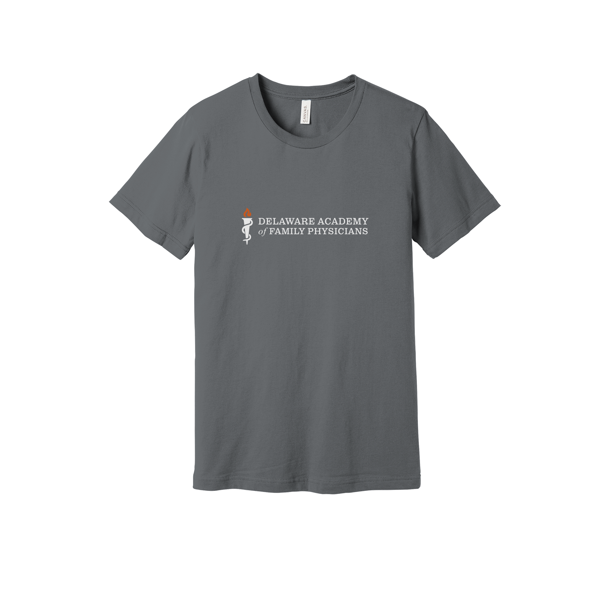 delfamdoc-everyday-essentials-clinic-short-sleeve-tee-dtf-front-BC3001-storm-flat-front