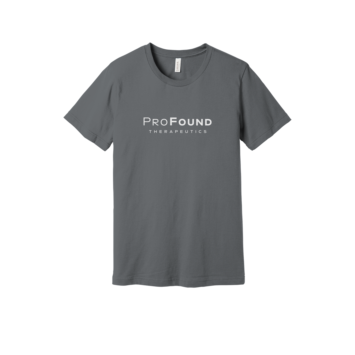 profoundtx-everyday-essentials-short-sleeve-tee-dtf-front-BC3001-storm-flat-front