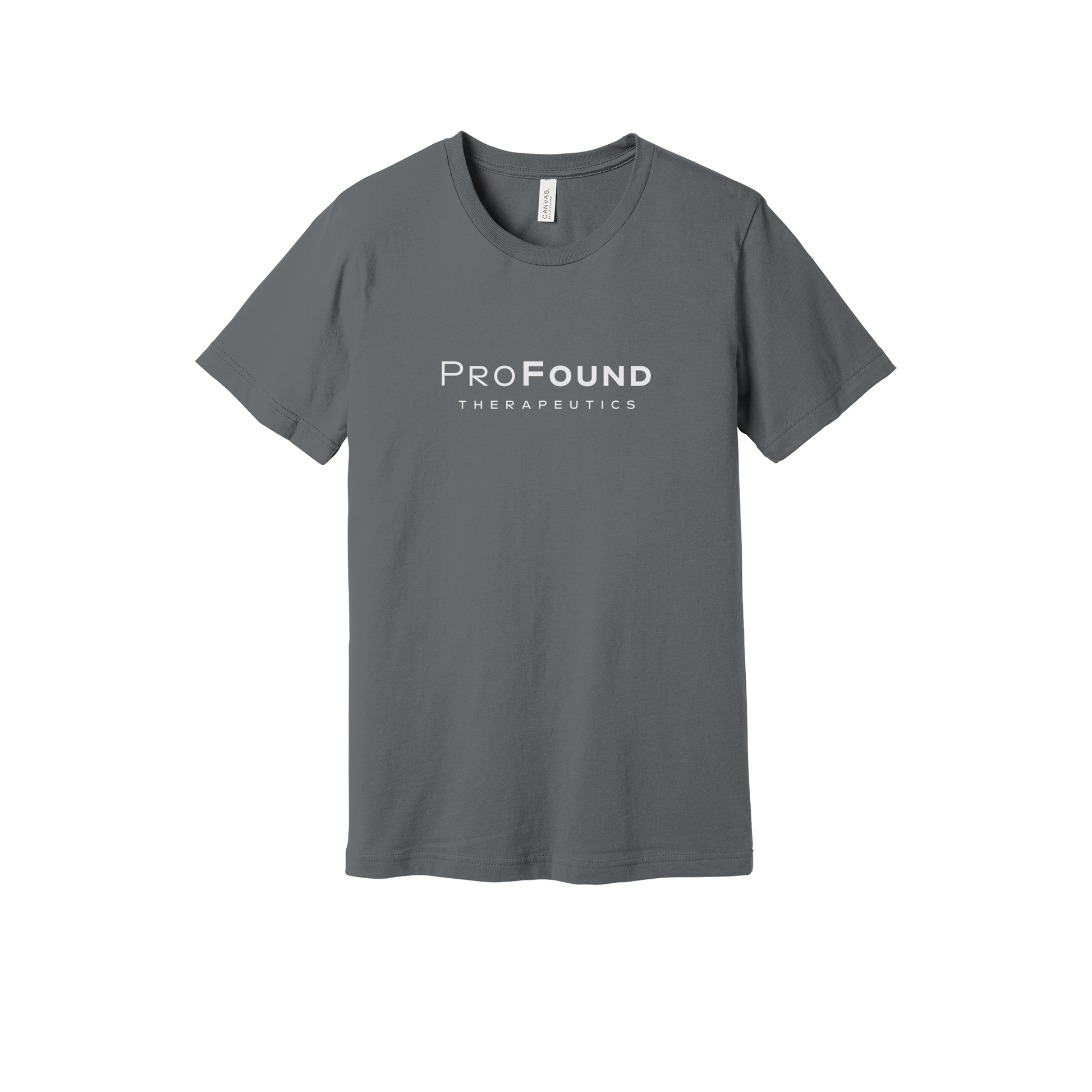profoundtx-everyday-essentials-short-sleeve-tee-dtf-front-BC3001-storm-flat-front