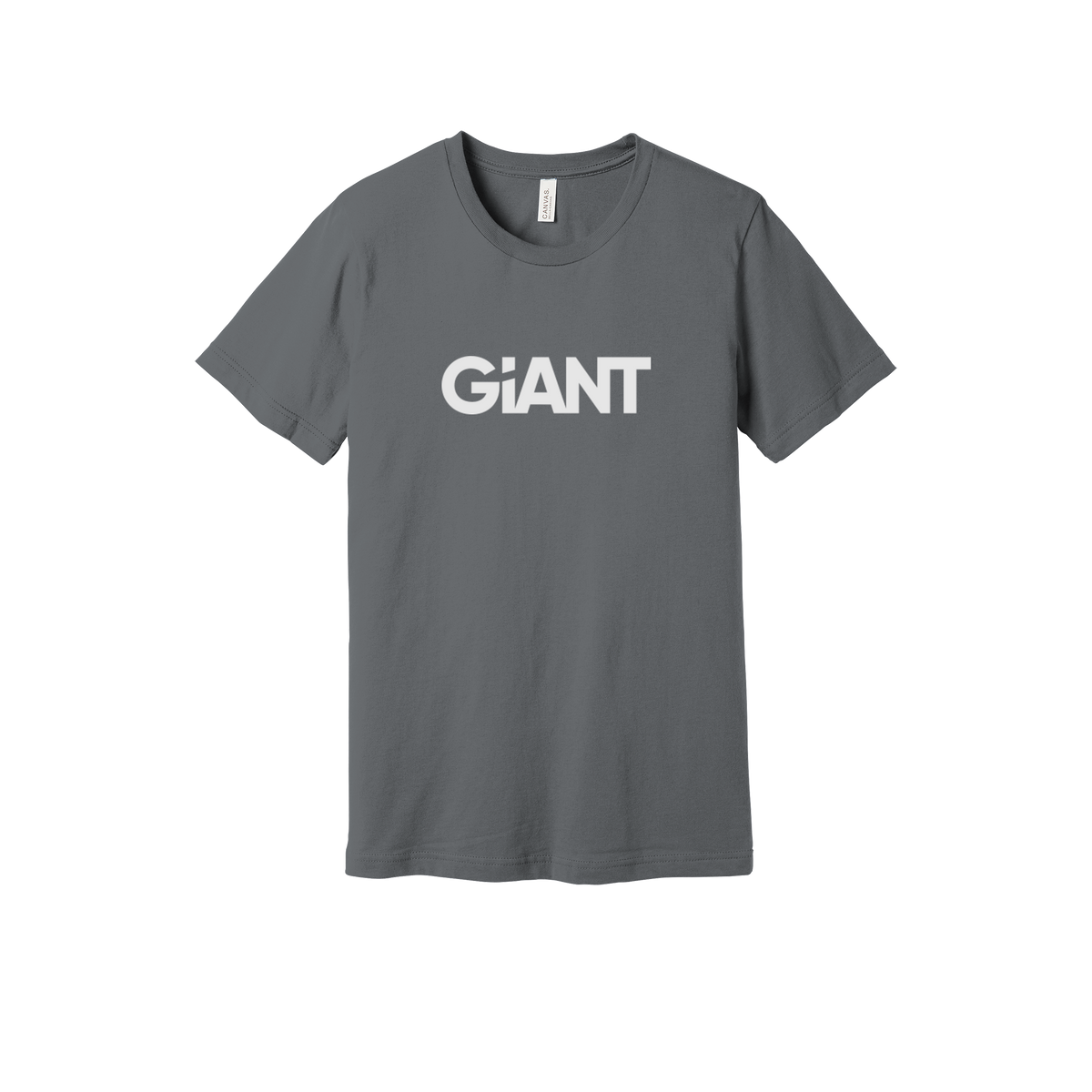 giantworldwide-everyday-essentials-short-sleeve-tee-dtf-front-BC3001-storm-flat-front