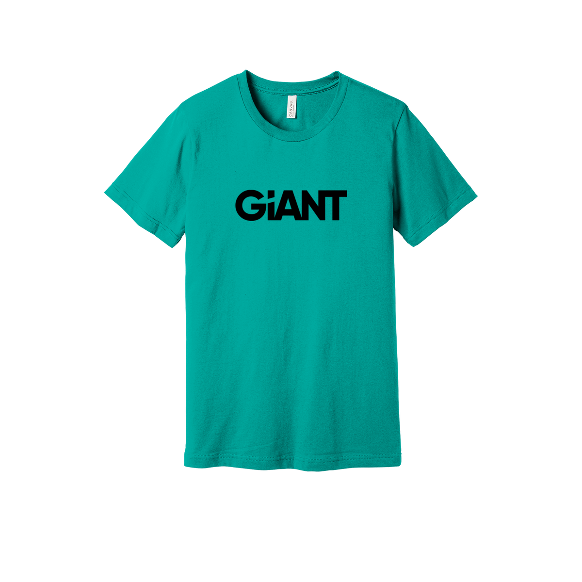 giantworldwide-everyday-essentials-short-sleeve-tee-dtf-front-BC3001-teal-flat-front