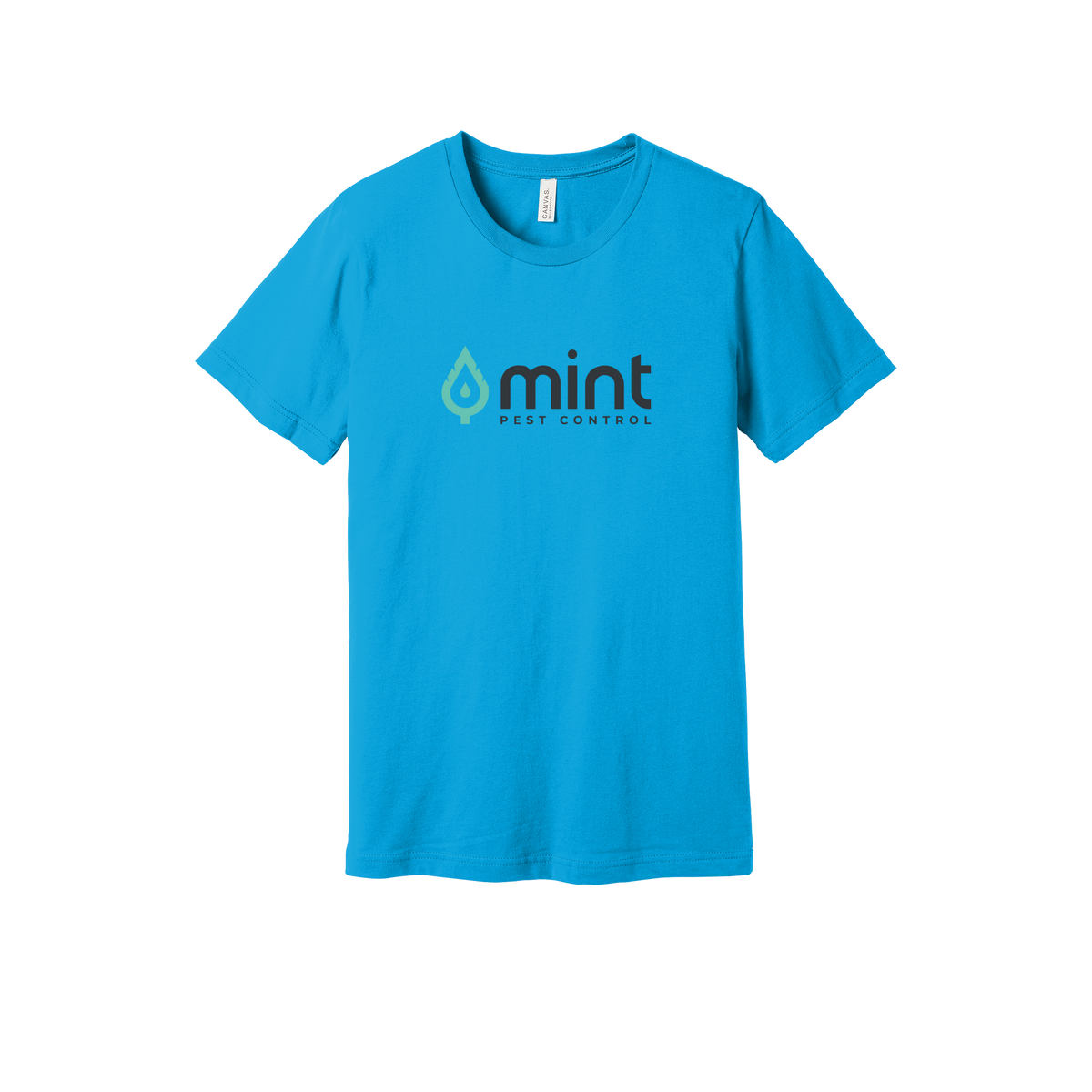 mintpest-everyday-essentials-short-sleeve-tee-dtf-front-BC3001-turquoise-flat-front