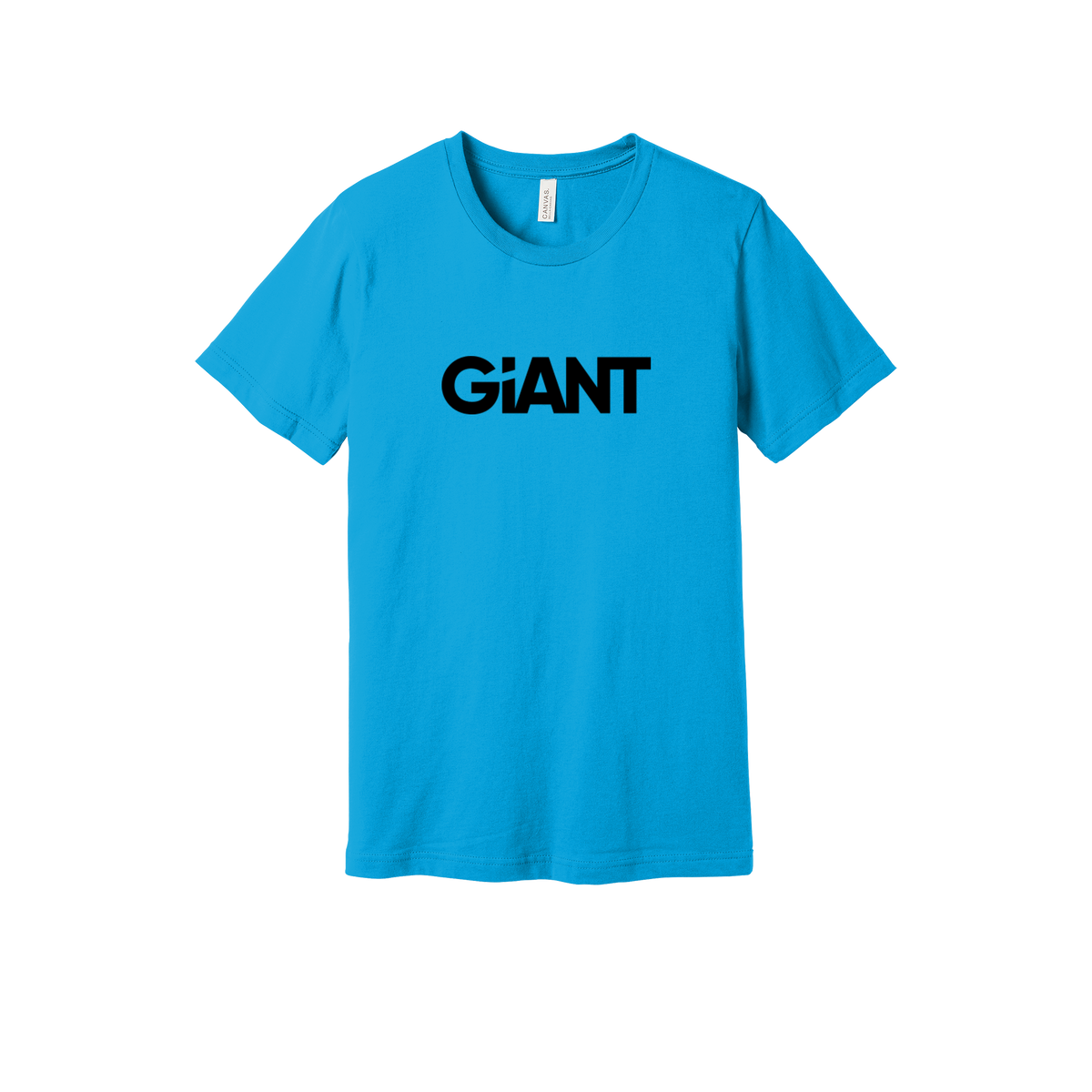 giantworldwide-everyday-essentials-short-sleeve-tee-dtf-front-BC3001-turquoise-flat-front