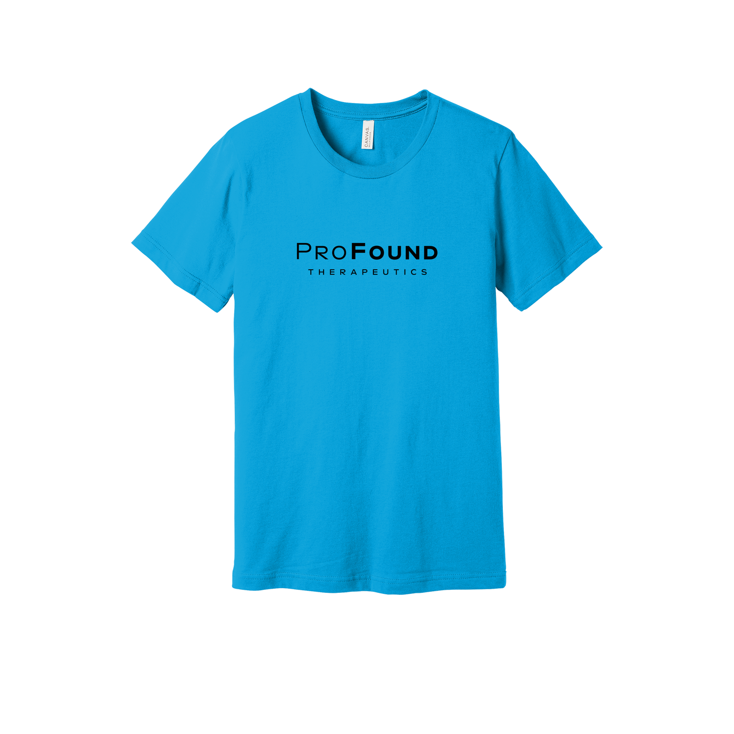 profoundtx-everyday-essentials-short-sleeve-tee-dtf-front-BC3001-turquoise-flat-front