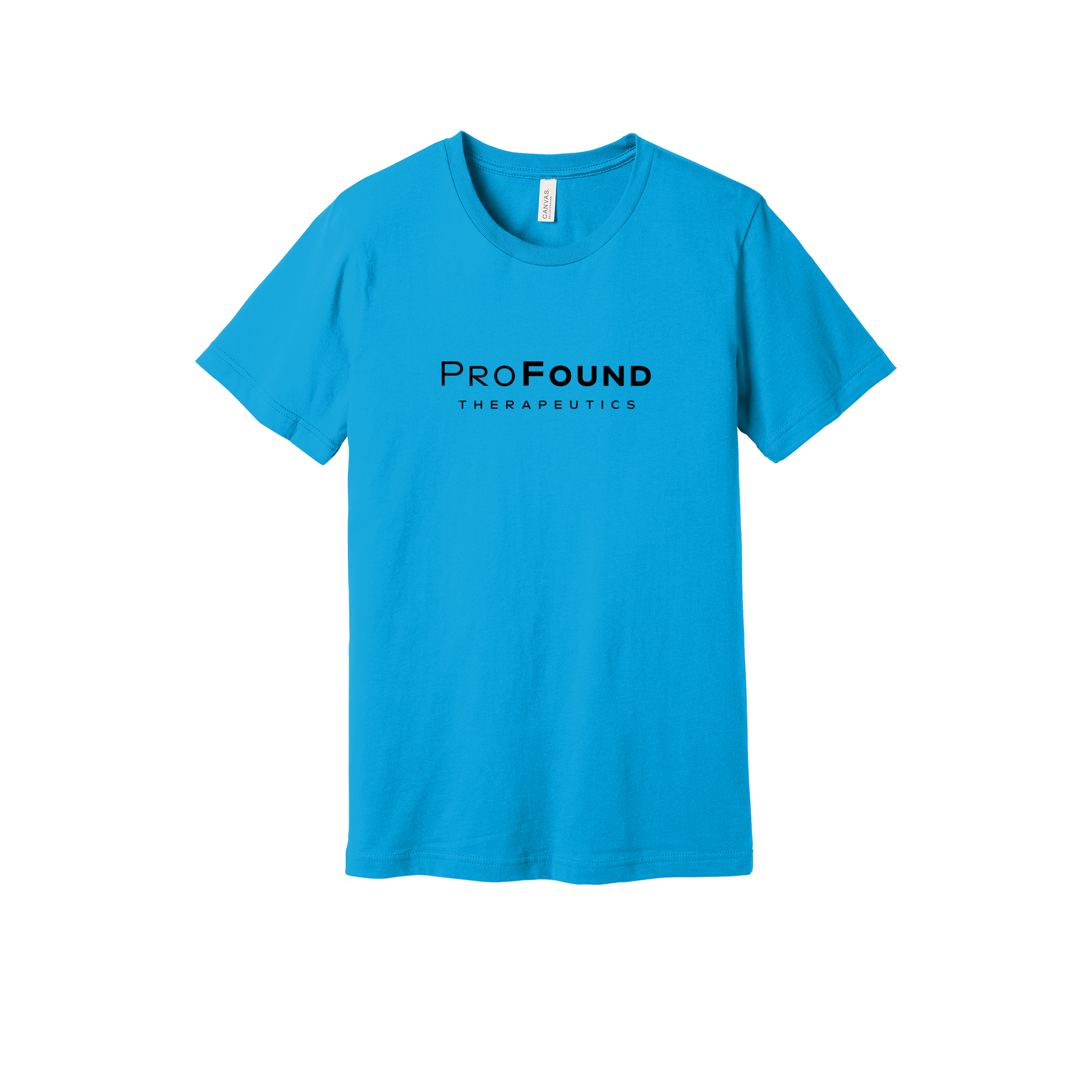 profoundtx-everyday-essentials-short-sleeve-tee-dtf-front-BC3001-turquoise-flat-front