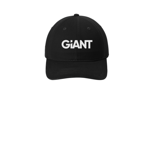 giantworldwide-low-profile-dad-cap-embroidery-capfront-CP77-black-flat-front